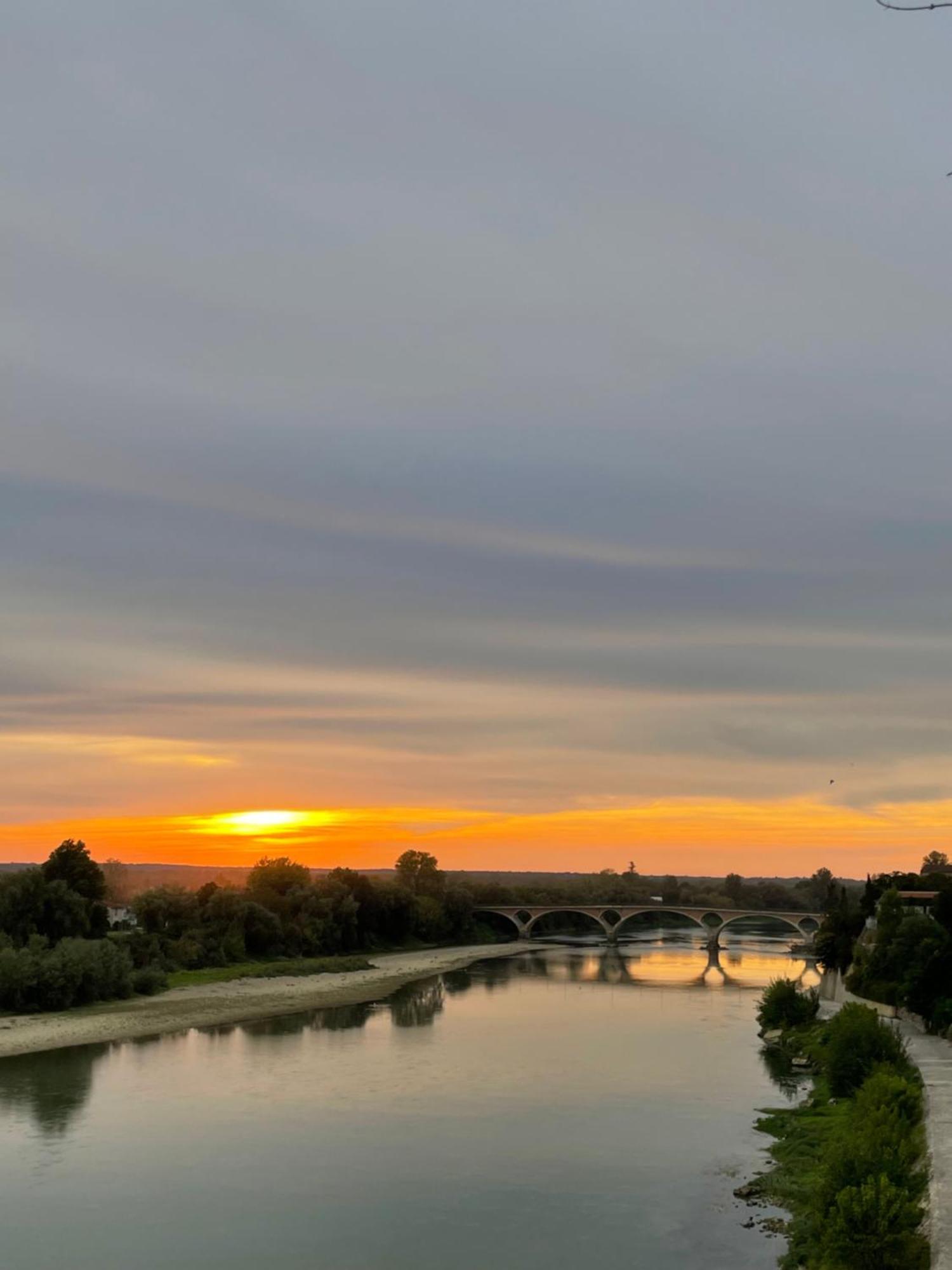 Hotel Restaurant Cote Garonne Le Balcon Des Dames - Tonneins Fauillet Marmande - Vue Panoramique Bord De Garonne Chambres Climatisees Esterno foto